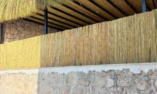 Bambu Çit 2