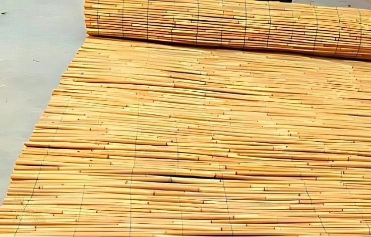 Bambu Kargı