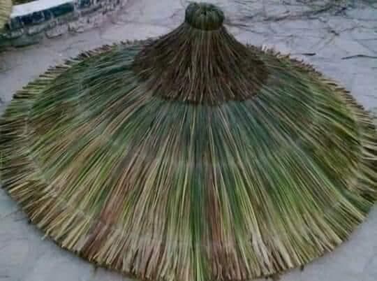 Saz Şemsiye 3